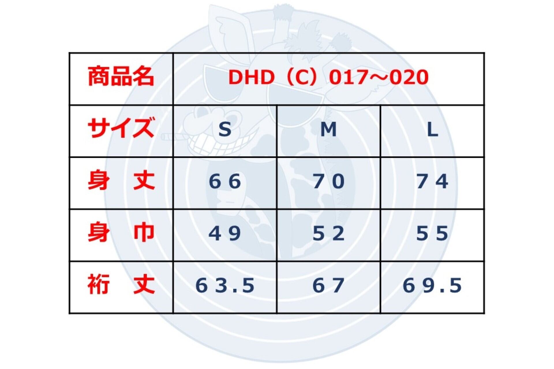 DHD(C)018【ラグランスリーブ（レッド）　アインシュタインⅠ】