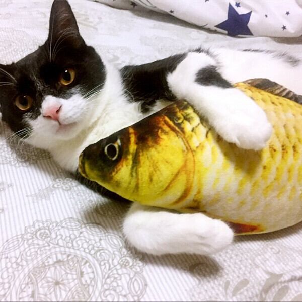 C228L 40cm 超リアル 魚 ぬいぐるみ おもちゃ 子供 子ども 猫 おもちゃ