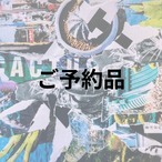 Pachypodium brevicaule【パキポディウム・ブレビカウレ】