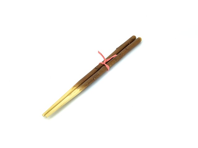 【梅枝箸 21cm】 マイ箸・携帯箸・女性用箸