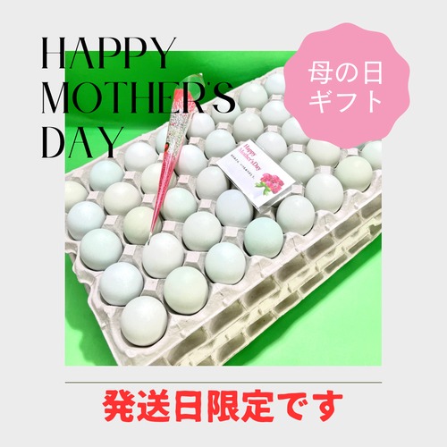【Happy　Mother′s　Day】早割　母の日ギフト！！10％OFF【～4/30（火）までのご注文限定】　絶品たまごギフトセット  緑の一番星　業務用　160個