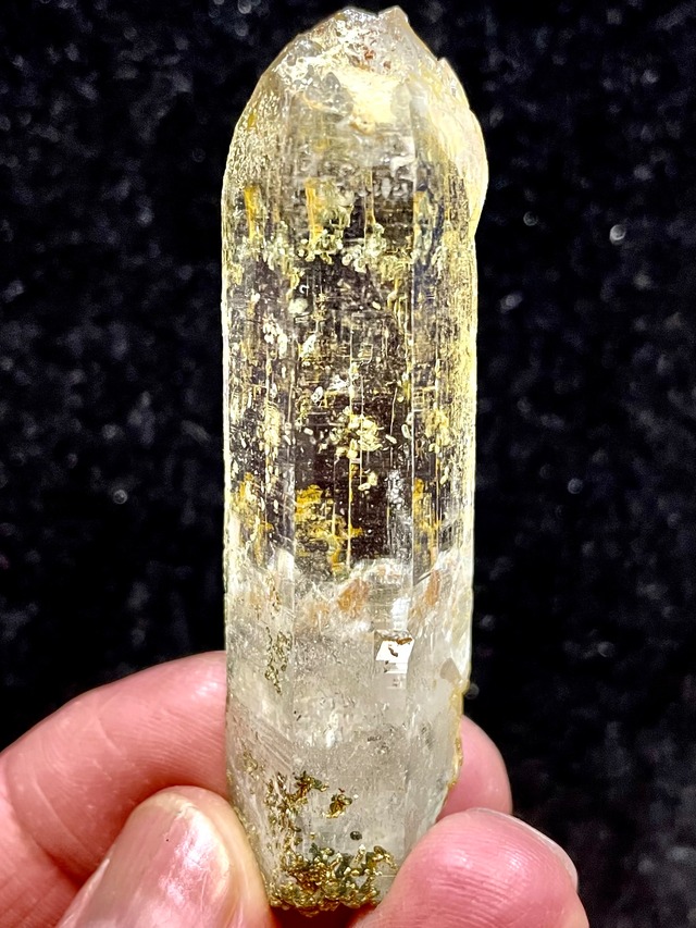 14) New！パキスタン・ヒマラヤ「スカルドゥ」ゴールデンヒーラー