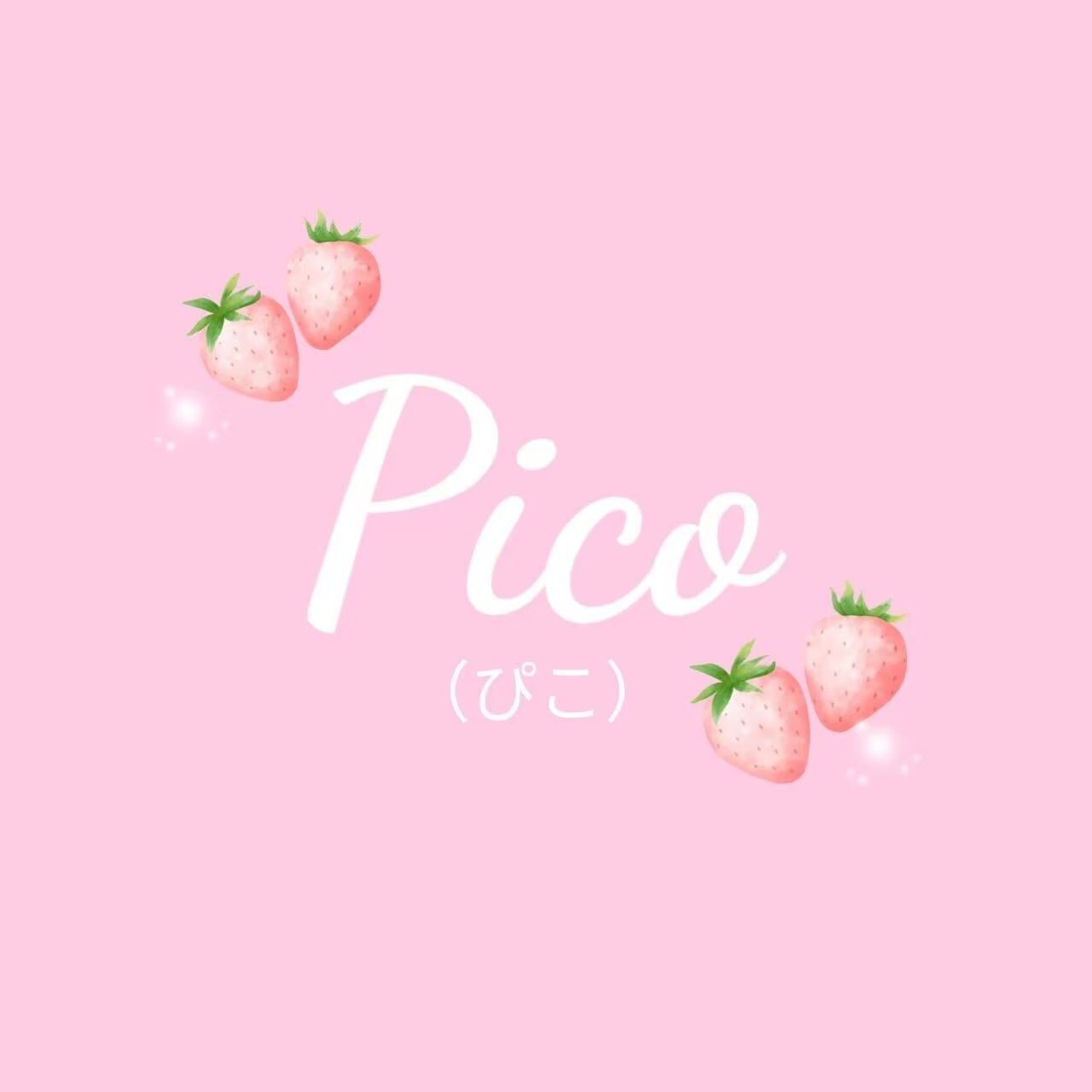 ご購入前に必ずお読みください.｡.:* | Pico World