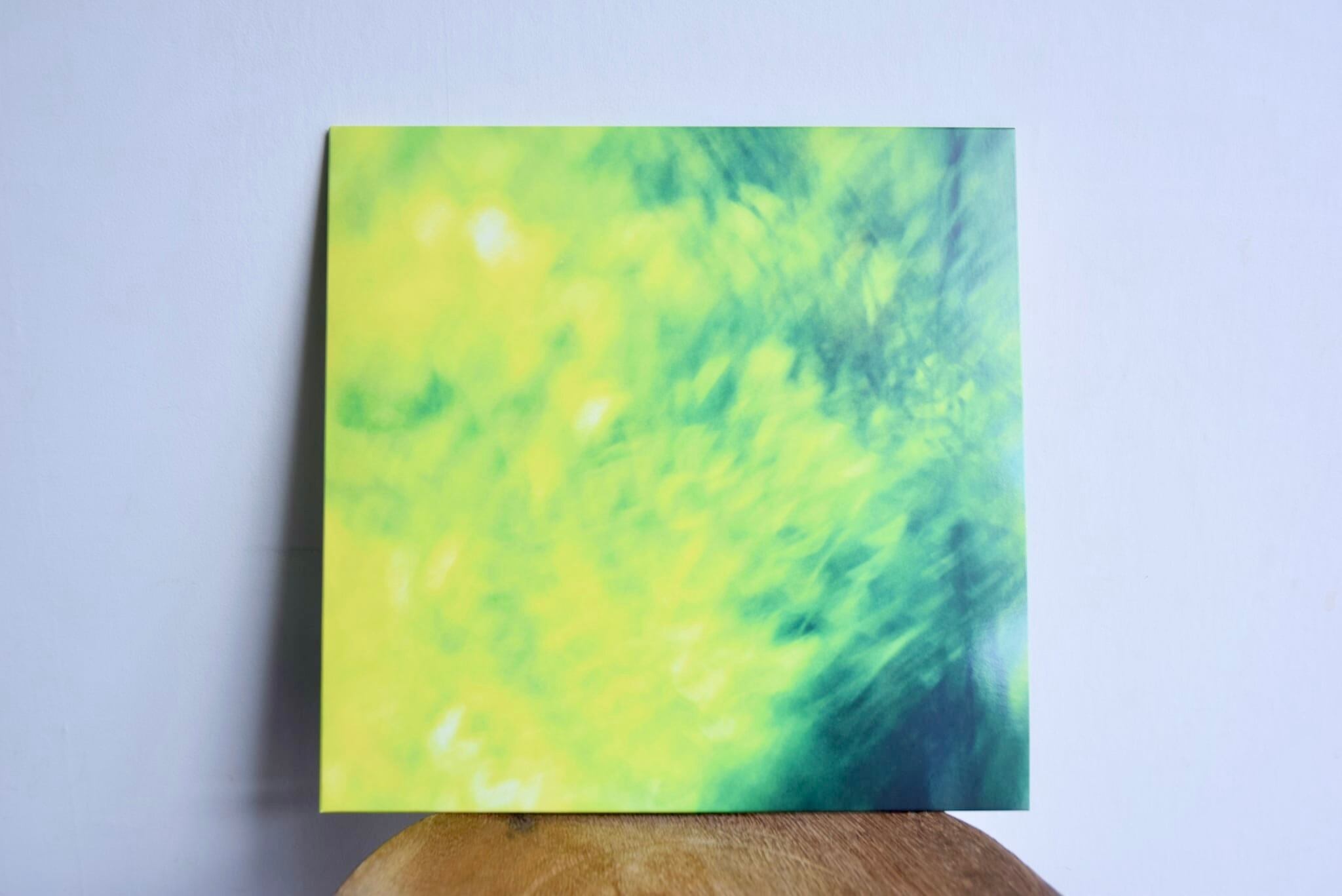LP】＜初回限定盤/カラー盤＞青葉市子 / Luminescent Creatures | 日田