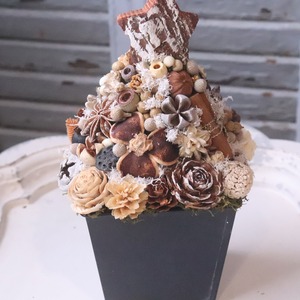 木の実ツリーM　1点もの｜木の実の小さなクリスマス飾り　木の実いっぱい　冬のナチュラルインテリア　プレゼント　推し活におすすめ　