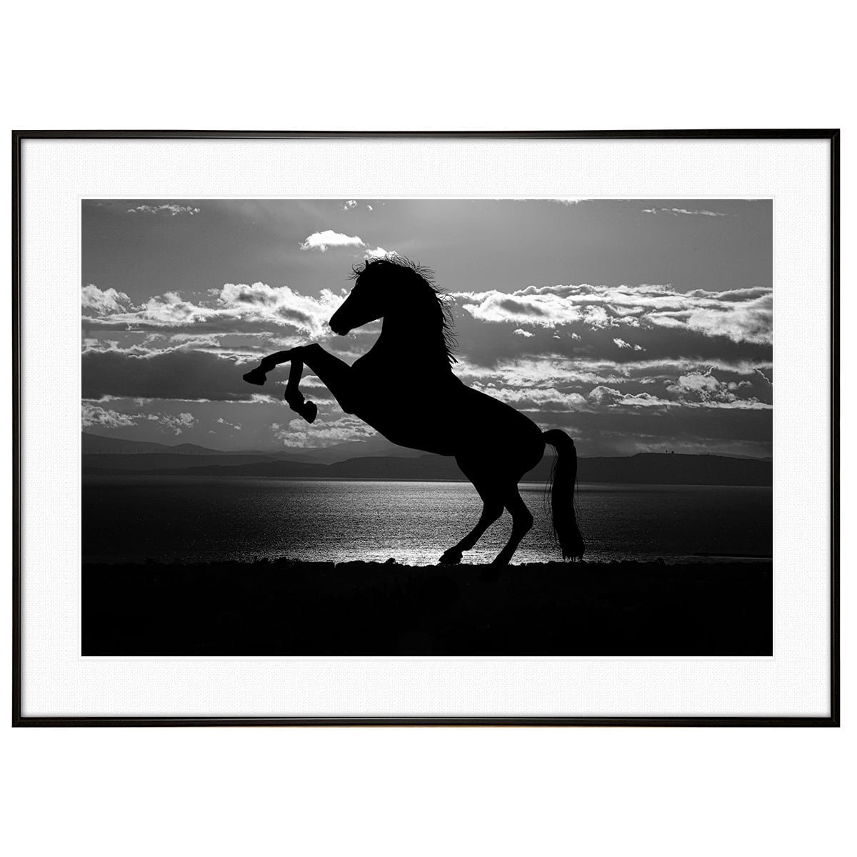 アニマル 動物 馬c インテリアアートフォト写真額装 As0166 インテリアアート写真 通販のアートスクワッド