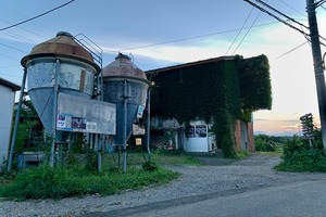 【現地受取】502（2026）-1,000g-
