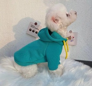 カラフルパーカー　XS〜XXL