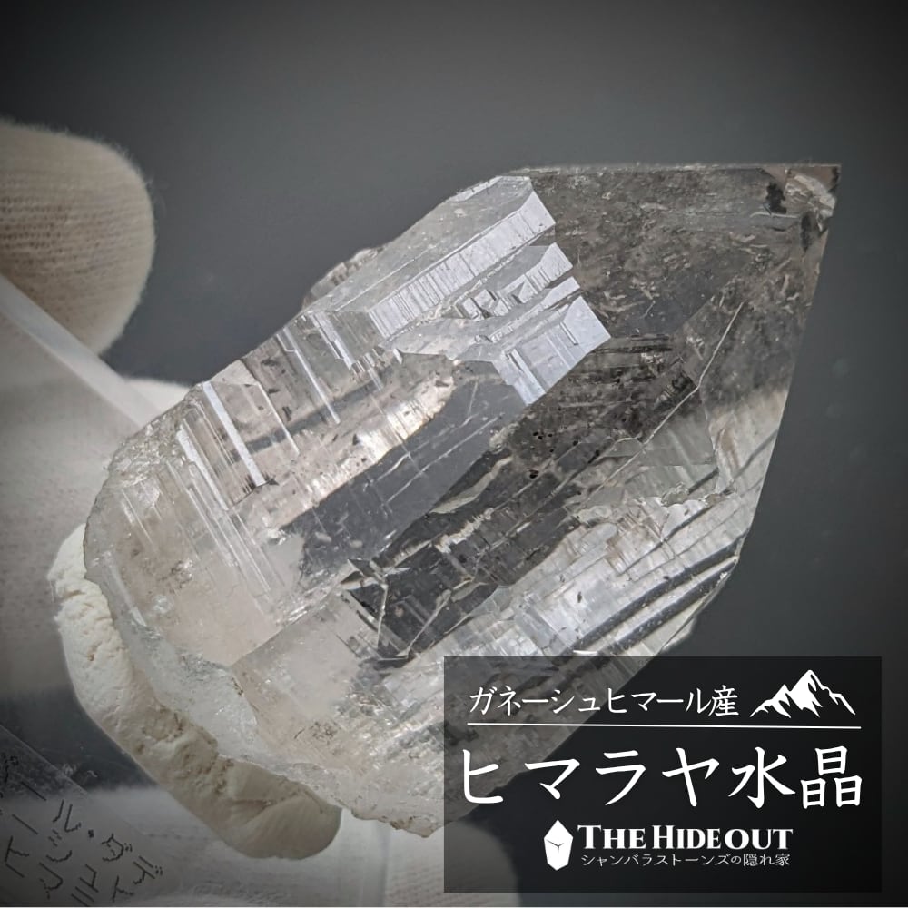 ヒマラヤ水晶オールドストック原石標本005 ティプリン地域産緑泥石入り水晶 ぷっくり形状やばっ