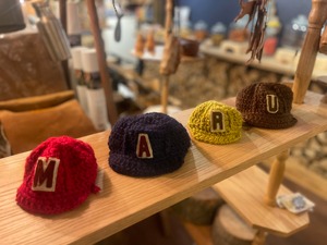 ニットの野球帽　わんこ用　うちの子イニシャルワッペン