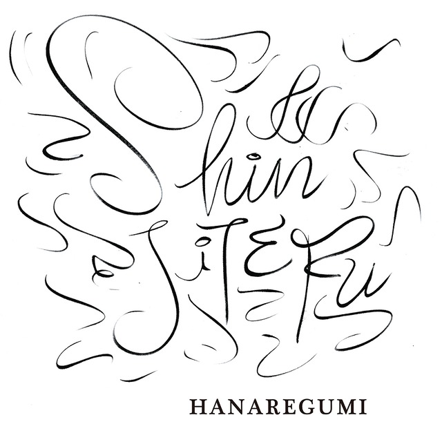 【生産限定盤】ハナレグミ「SHINJITERU」アナログ盤（12インチ）