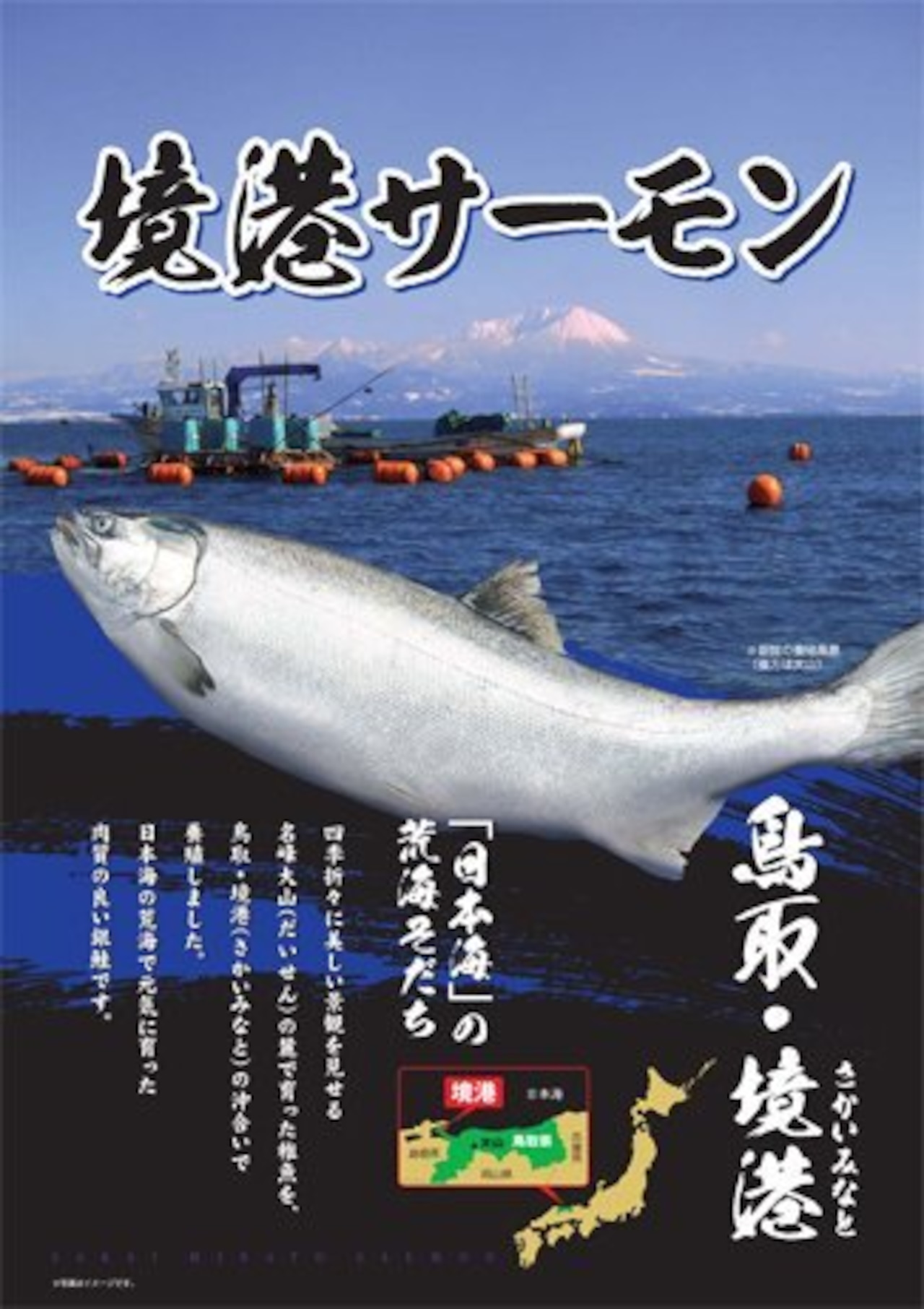 【解禁】境港サーモン/鳥取が誇る海面養殖銀鮭/4月～6月までの期間限定/原体1.4〜1.6kg/半身フィレ1枚【冷蔵】