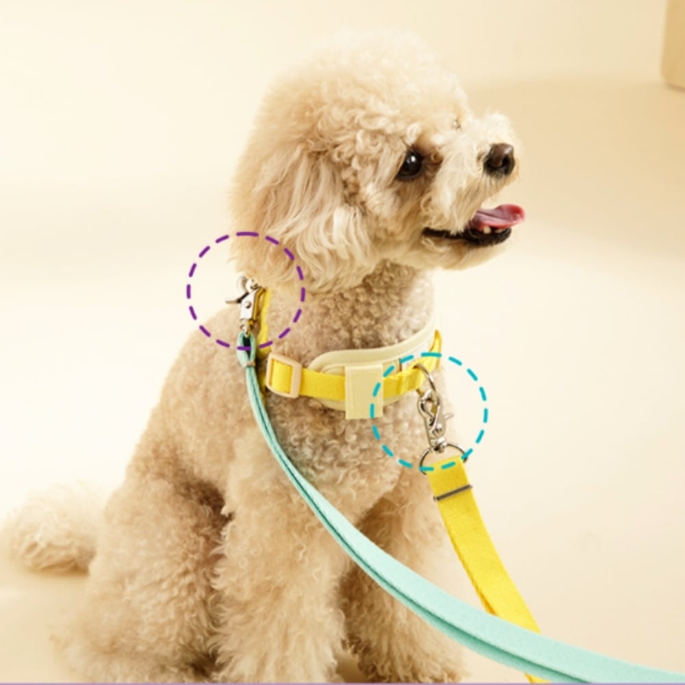 YType Harness Y型ハーネス | anpi