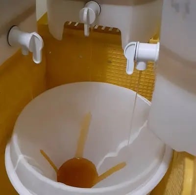 セット】日本はちみつ＆西洋はちみつ 160g （百花蜜 / 国産） | 曽根