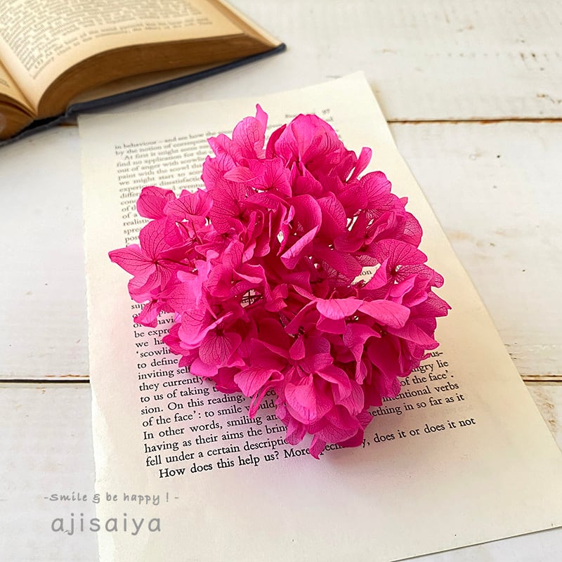 専用＊ くすみ系ピンク アジサイ4種(プリザ.ドライ) 専用＊ くすみ系