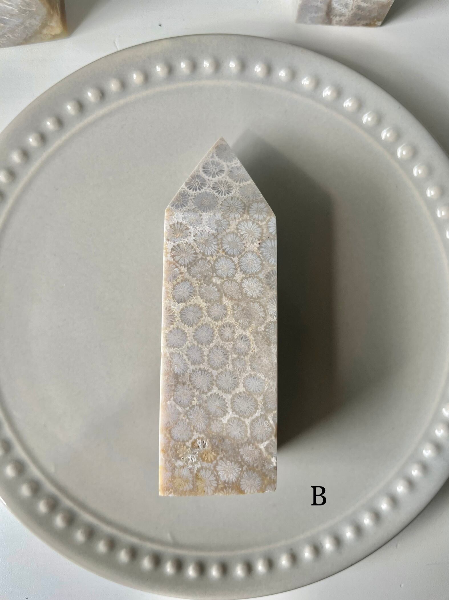 Fossil Coral Tower / フォッシルコーラル　タワー