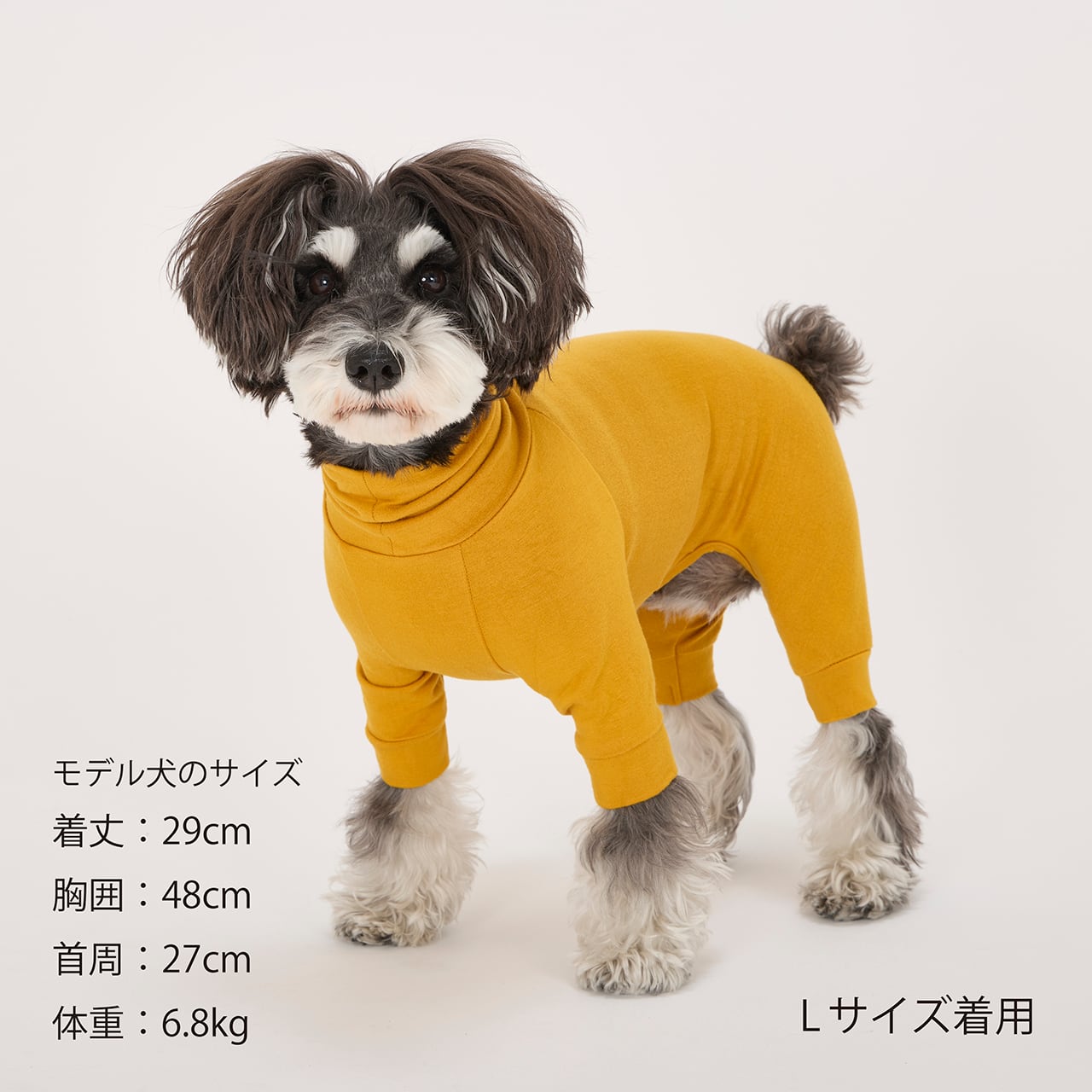 SKIN TIGHT SUIT（M.MD.L）スキンタイトスーツ | MANDARINE BROTHERS