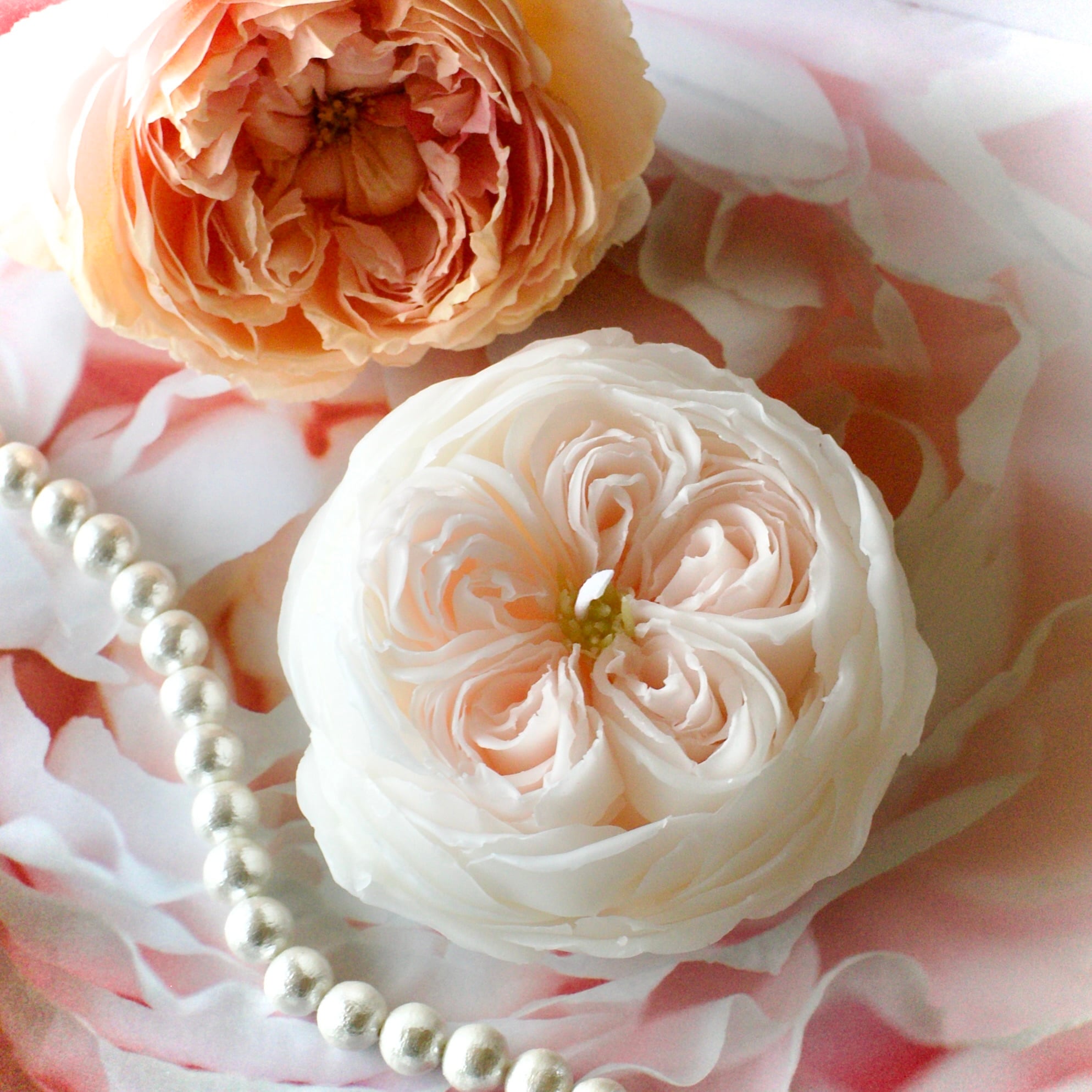 クォーターロゼット咲きの薔薇キャンドル | アイナフAinaf｜手作りの