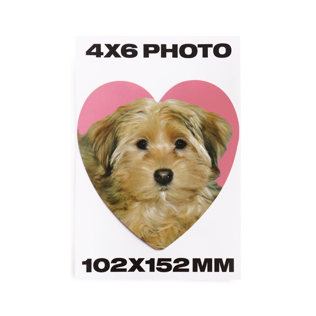 2WAYフォトフレーム（レッド）