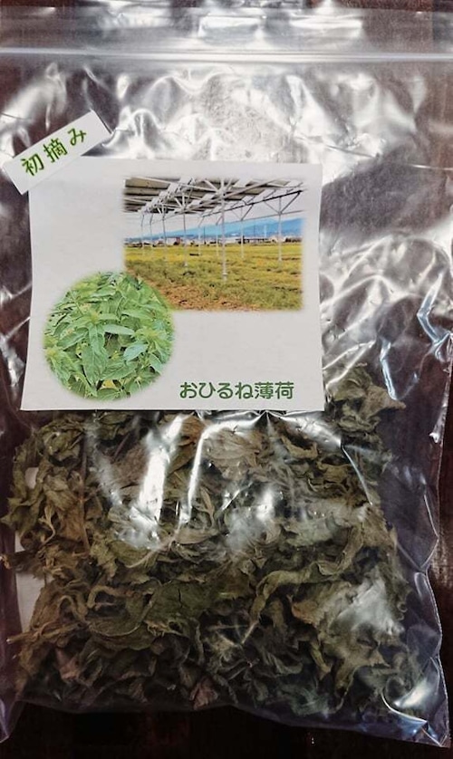 おひるね薄荷ティー