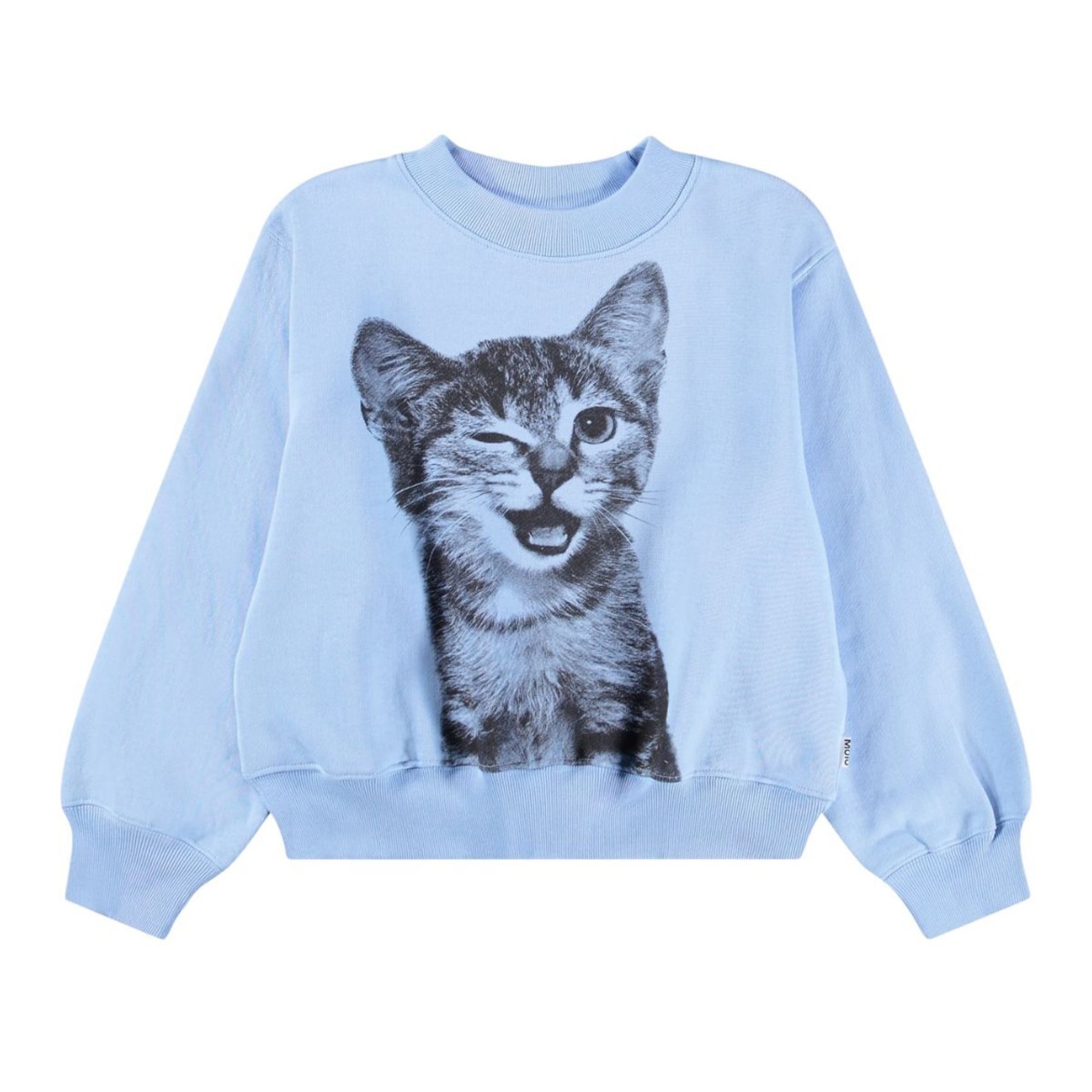 ＜MOLO＞Kids ブルーキトゥン スウェットプルオーバー Marge(Blue Kitten Bigger) - 1