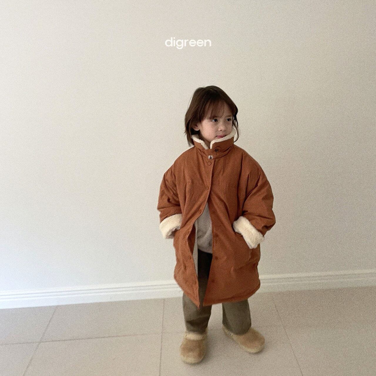 sold out» digreen Alps duckdown jacket アルプスダウンジャケット