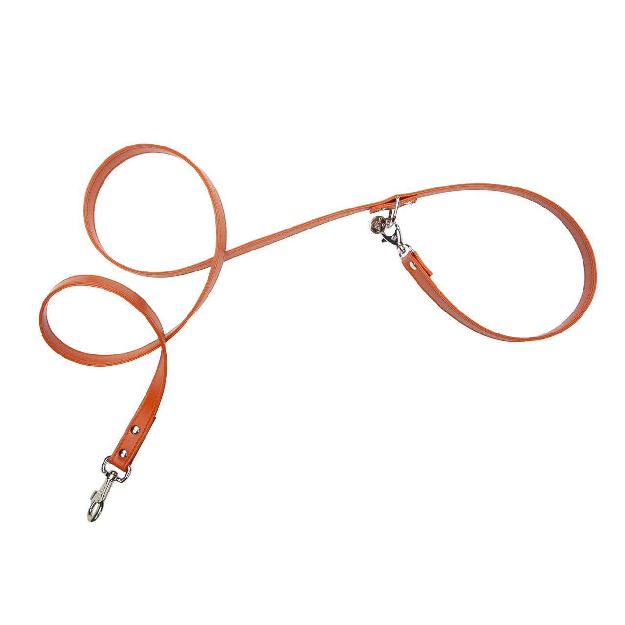 Art h1178N15 leash Chic Leash(Silver) / Charlotte's Dress