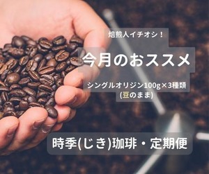 焙煎士イチオシ！　今月のシングルオリジン選ぶ楽しみ♪「時季珈琲」　100g×3種類　豆のまま【送料無料】