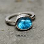 カバンサイトのリング(#312)