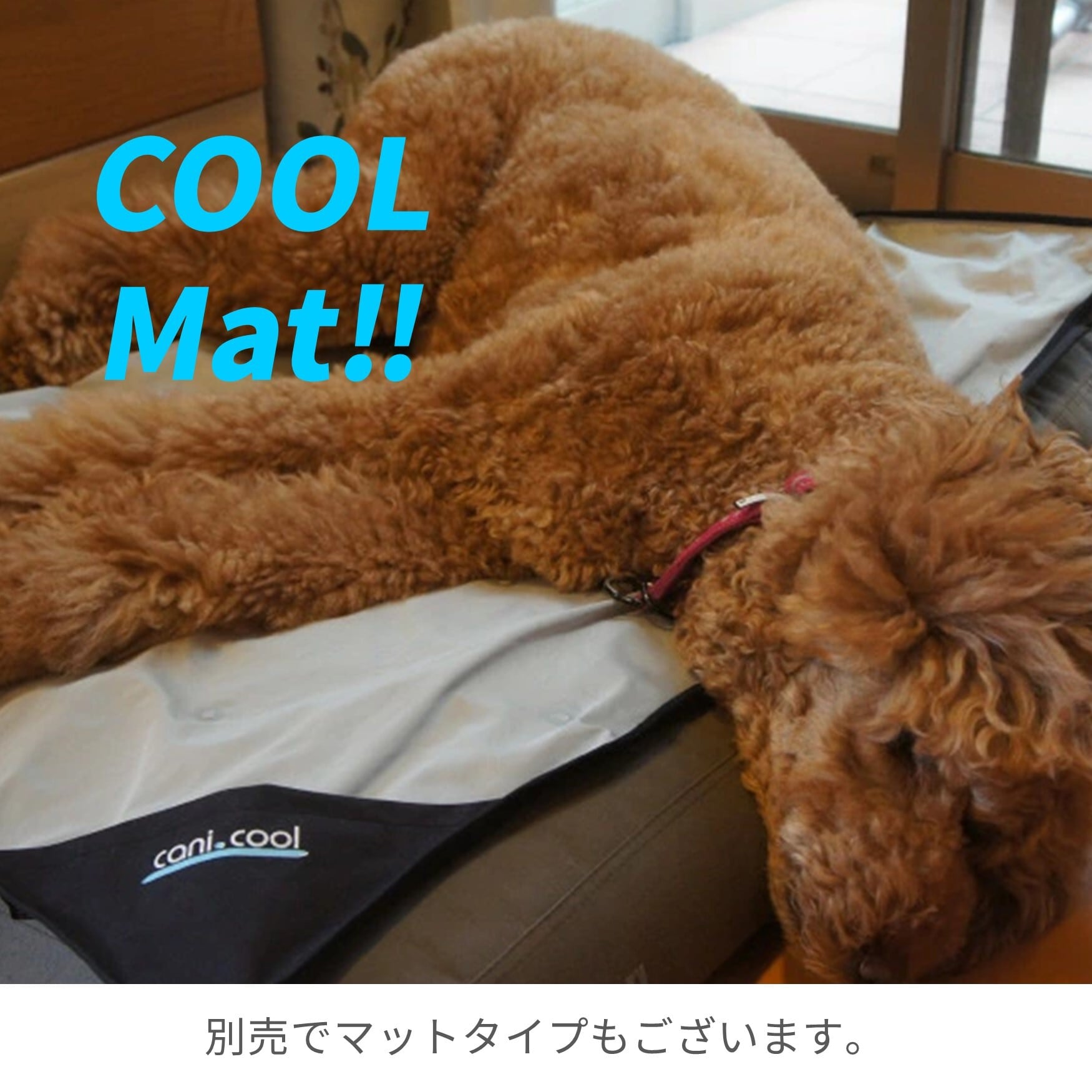 CANI COOL]カニクール クールコート Lサイズ【クールジャケット