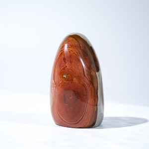 ポリクローム / フリーフォーム【5】