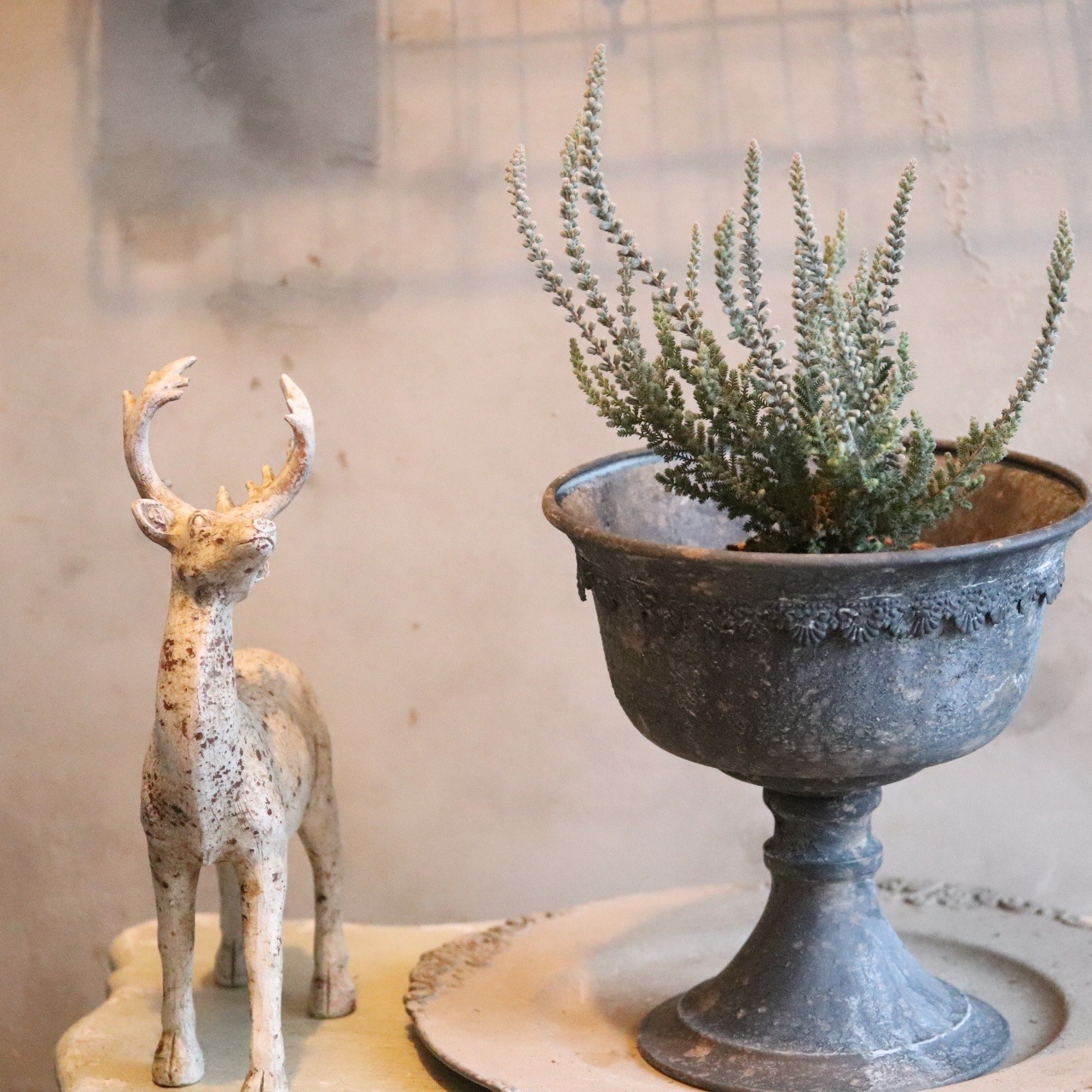 カルーナ　ガーデンガールズ　ホワイト　シルバーリーフ　冬の寄せ植え　