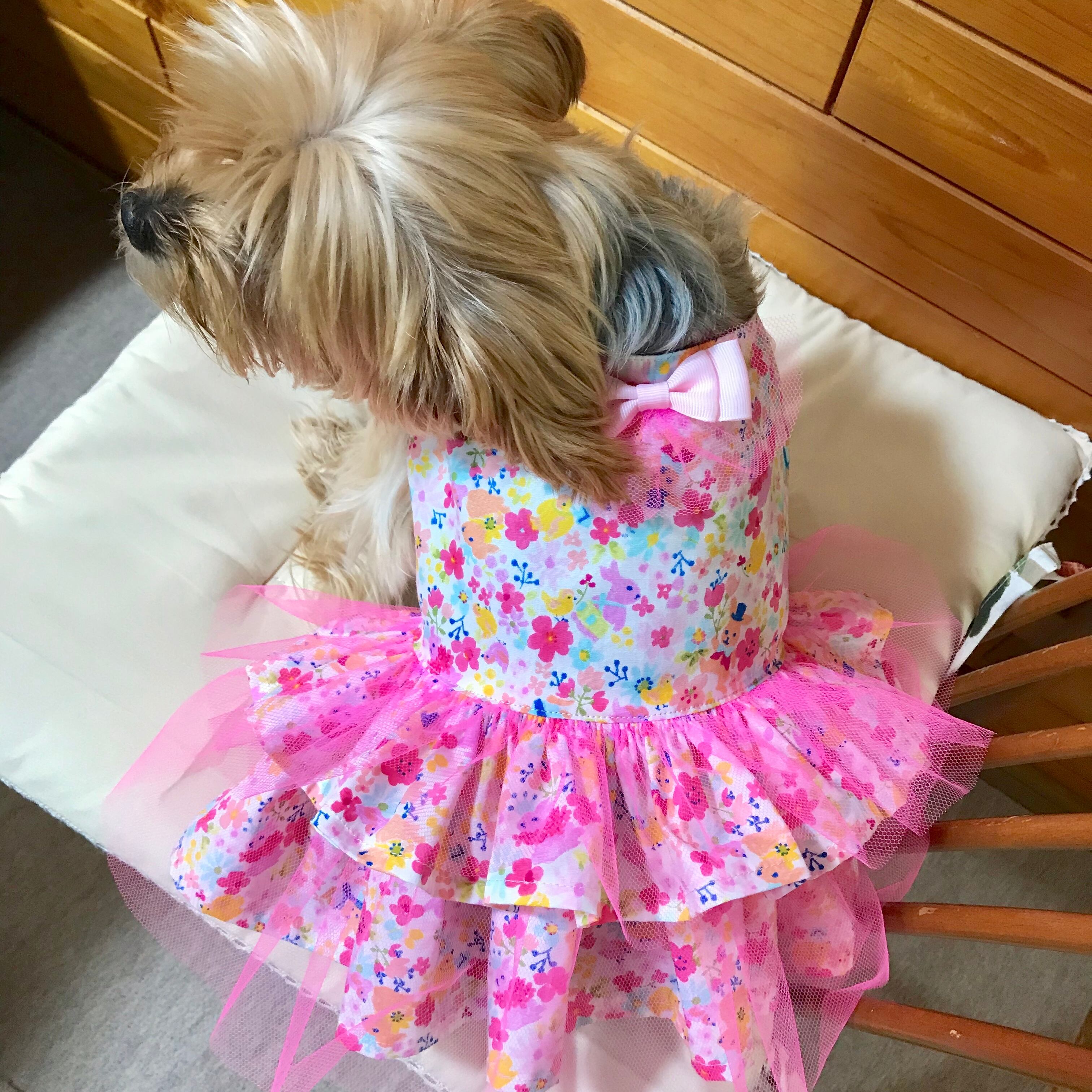 犬服 3号 ワンピース うさぎ柄 ゆめかわ チュール ピンク Tony Dog Zakka ハンドメイド犬服と雑貨のお店