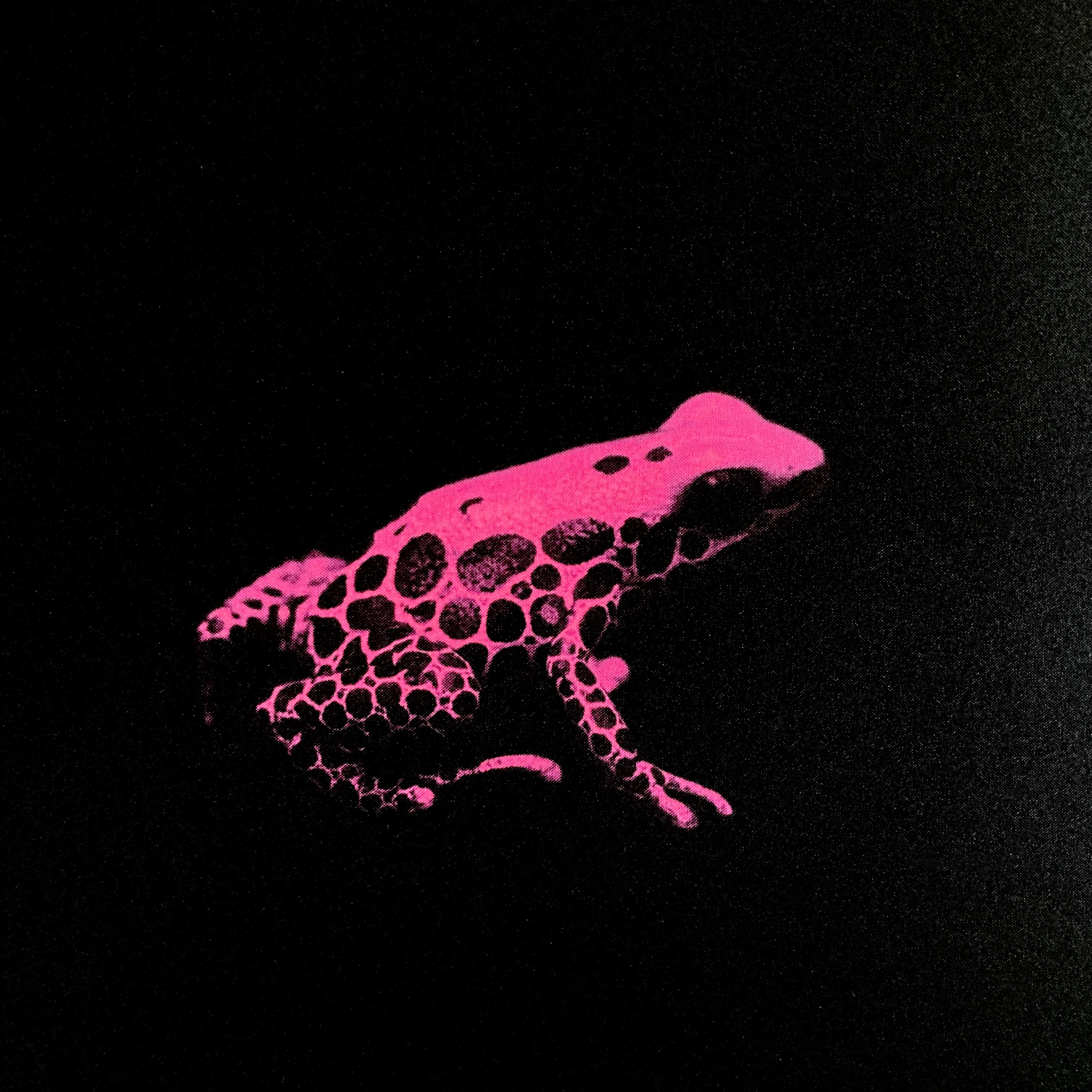 DartFrog（ヤドクガエル）/ファブリックアート（縦450mm×横450mm×厚み