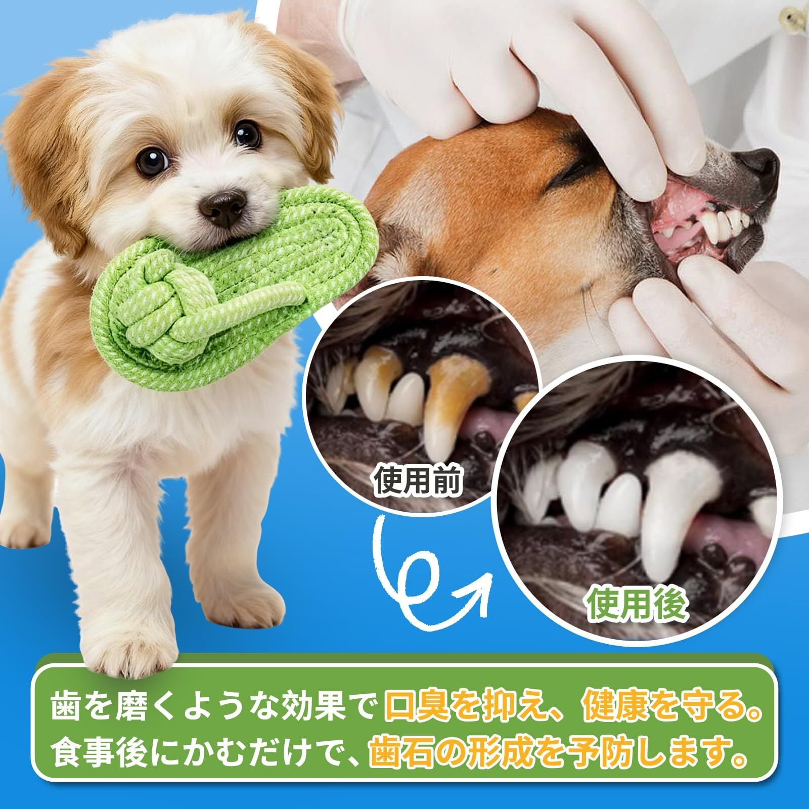 天然コットン＆化学染料不使用の綿ロープ使用 小型犬用おもちゃ 人気商品】犬 おもちゃ ロープ 高密度 100%天然コットン 丈夫 犬用玩具