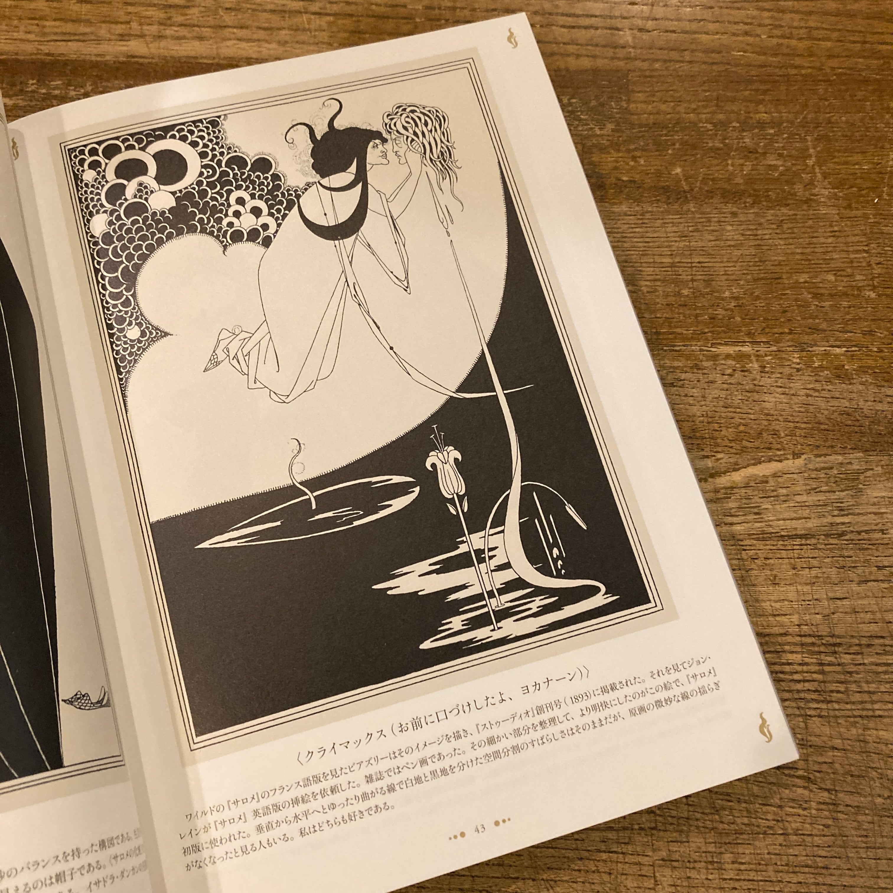 世紀末の光と闇の魔術師 オーブリー・ビアズリー / 海野弘 解説・監修