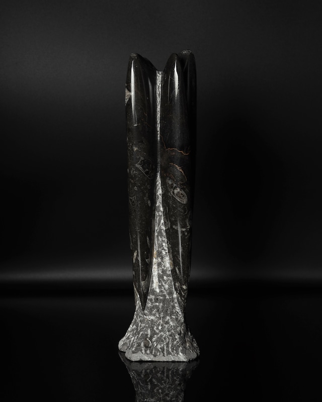 Fossils / Fossils Orthoceras Tower Object