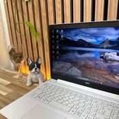 \ 公式ショップ限定価格❣️/ 超美品《光学ドライブ搭載》NEC LAVIE Direct N15 メモリ12GB SSD256GB 人気ノートパソコン 安心サポート&3ヶ月保証付き