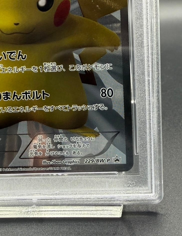 横浜店 PSA10 ピカチュウ【P】{229/BW-P} | ワンピース・ポケモン