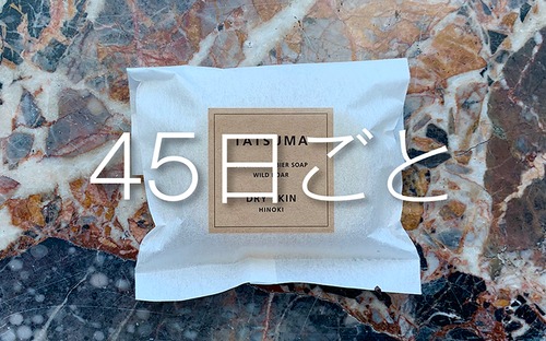 【45日に１度★定期便】【サッパリしたい方向け】ヒノキの香　TATSUMA石鹸