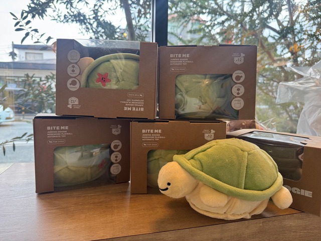 キャンピングブギ ー　ノーズワークプレイボール