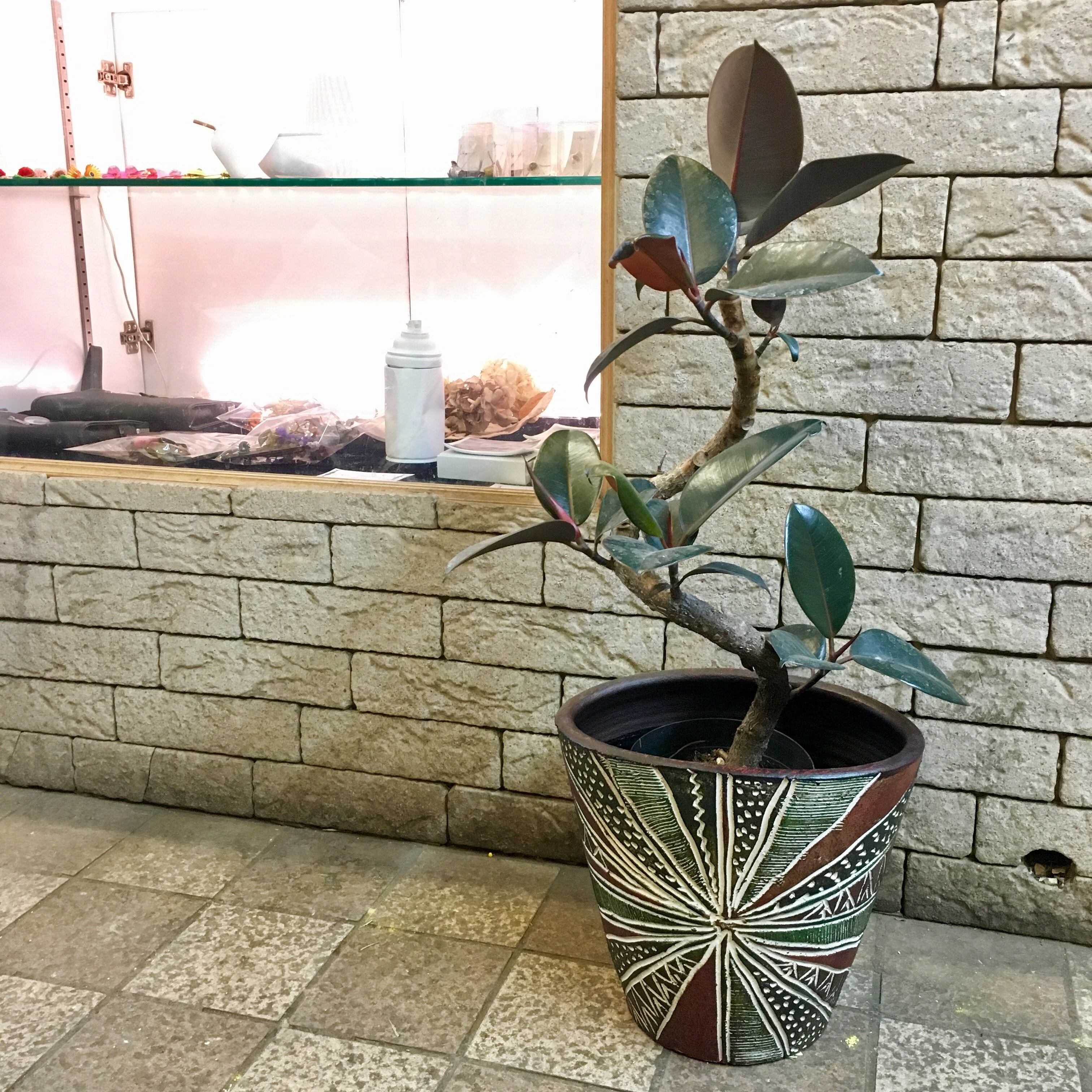 フランス Paris ヴィンテージ 貫入 植物鉢 フランス Paris ヴィンテージ 貫入 植物鉢