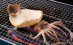スルメイカ一夜干し 5枚セット　【送料込み】