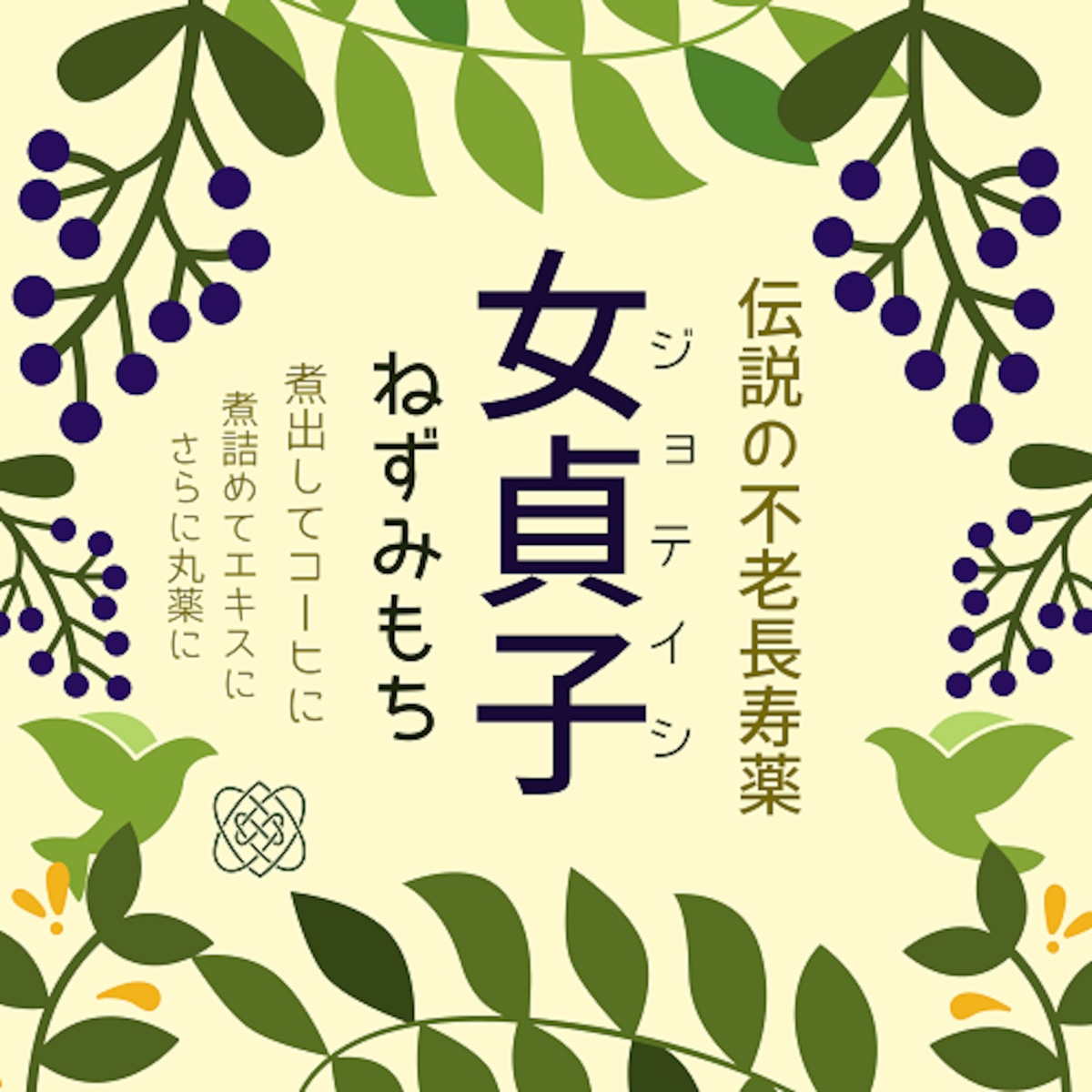 トウネズミモチ(女貞子)の実　フレッシュ5kg 楽天市場】女貞子茶100g 農薬検査済 甘味料 着色料 保存料不使用