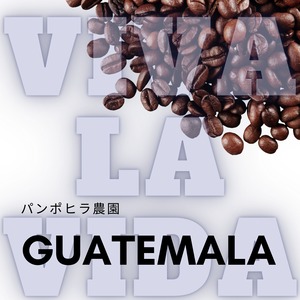 VIVA LA VIDA 【コンテスト入賞】グアテマラ　SHB ソロラ　アティトゥラン　パンポヒラ農園