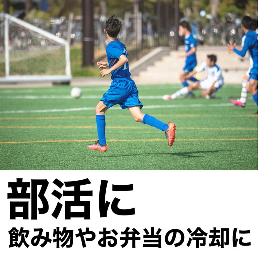 氷点下冷却剤 ソフトタイプ 400g×2個