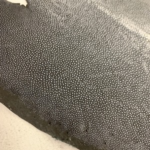 エイ革【約31㎝幅 】C11F-007　※浅草橋中央店販売商品