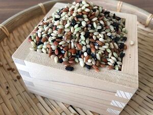 五色米（4種類の古代米の玄米を贅沢にブレンド）100g袋×3袋 | 西尾農園SHOP