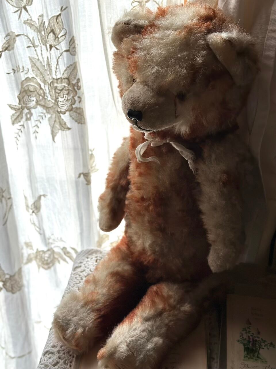 ぬいぐるみ | Brocante de La Cocotte （フランスアンティーク・ドライ