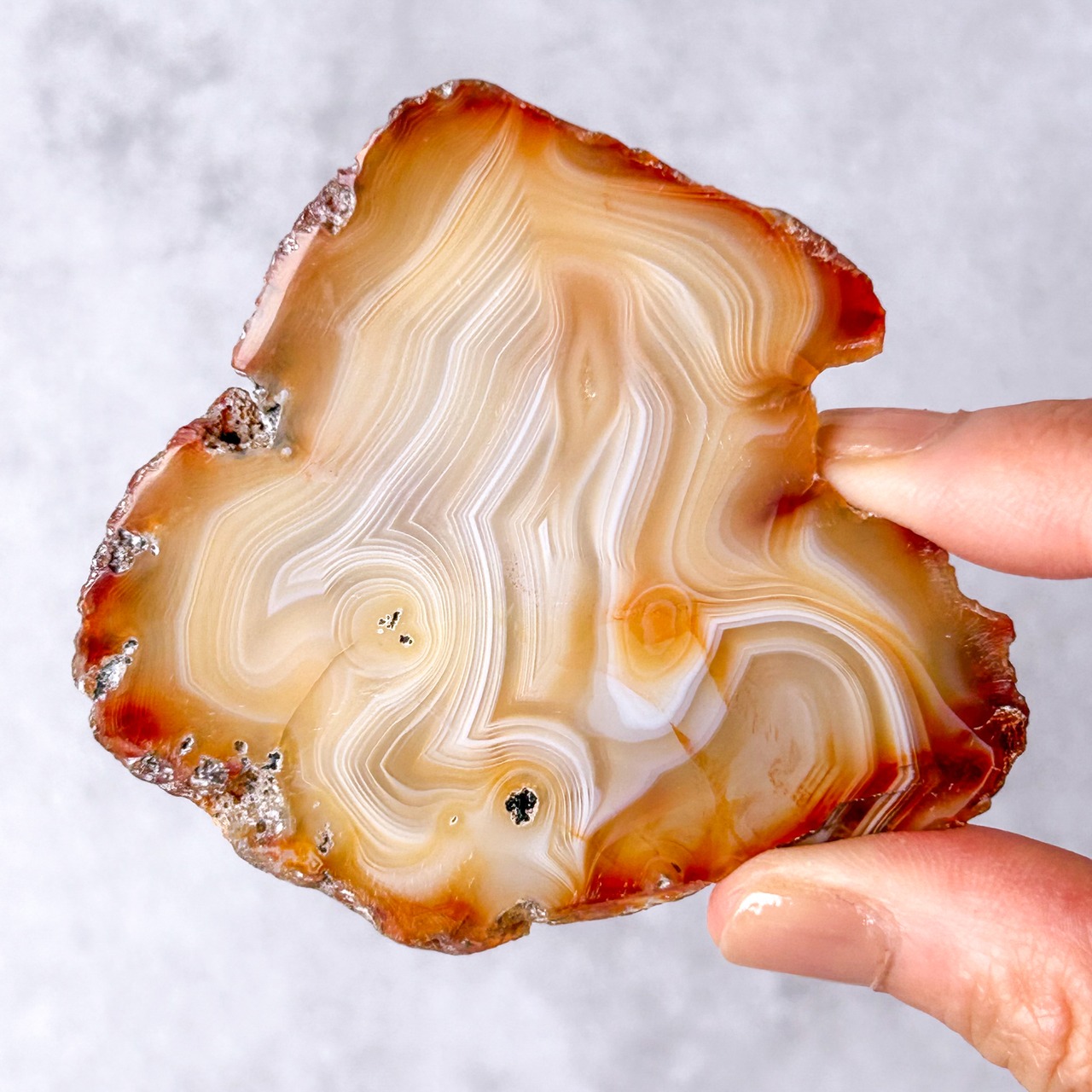 カーネリアン プレート * Carnelian * 天然石